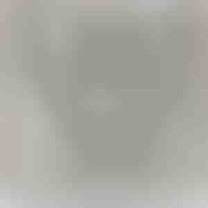 Pojalt isale | DARIUS