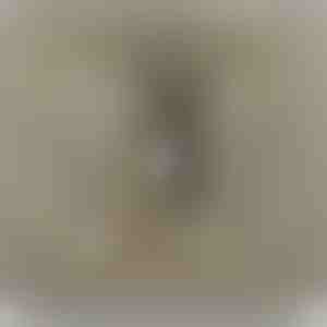 Vanematelt tütrele | NAMI