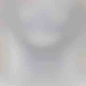 Lapselastelt vanaisale | IAN