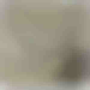 Isalt pojale | TRISTAN