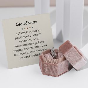 Stressivastane sõrmus pühendusega | RAYA_SPINRING