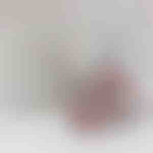 Stressivastane sõrmus pühendusega | RAYA_SPINRING