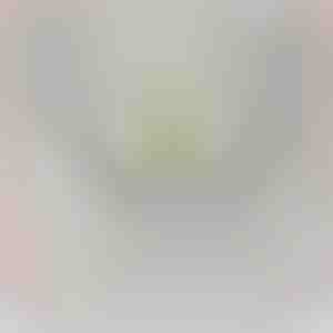 Lapselastelt vanaisale | LANCE