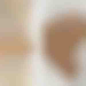 Sõrmuste komplekt | SPARKLET