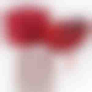 Poisssõbralt tüdruksõbrale | JULIET_HEARTS_APPLEROSE