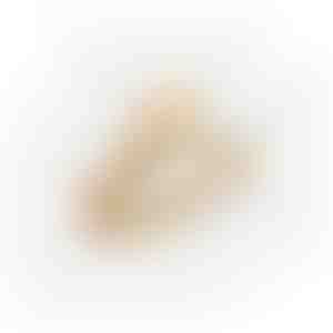 Kõrvarõngad | ESTELLA_GOLD