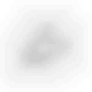 Kõrvarõngad | ESTELLA_SILVER