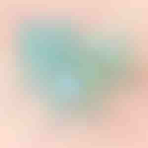 Sinine kast roosiga | BLUEBOX