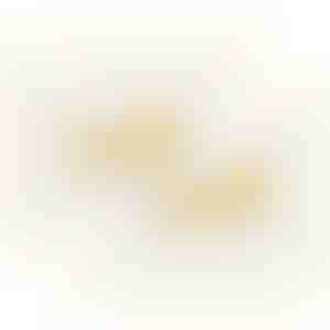 Kõrvarõngad | BELLA_GOLD