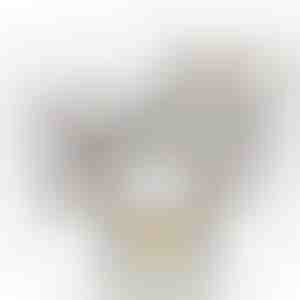 Valge kast roosiga | WHITEBOX