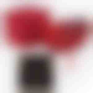 Abikaasalt abikaasale | ALAYA_CLOVERIE_APPLEROSE