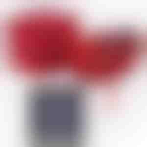 Poisssõbralt tüdruksõbrale | GRACE_CLOVERIE_APPLEROSE