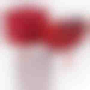 Vanaemalt lapselapsele | NOA_CLOVERIE_APPLEROSE