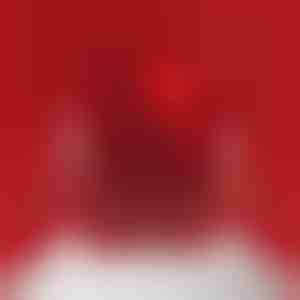 Karu ehtekarp | ROSBEAR