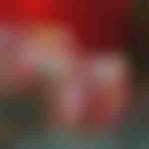 Advendikalender ehetega | ADVENTCALENDAR