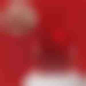 Ma armastan sind kuldne kaelakee ja karu ehtekarp | LUVION_ROSBEAR