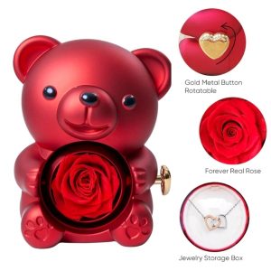 HEARTS kaelakee ja karu ehtekarp | HEARTS_ROSBEAR