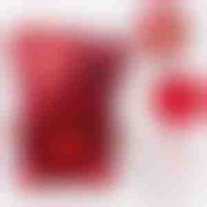 HEARTS kaelakee ja karu ehtekarp | HEARTS_ROSBEAR