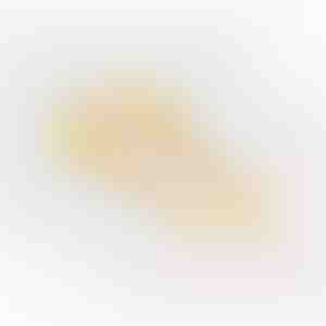 Kõrvarõngad | GLORIA_GOLD