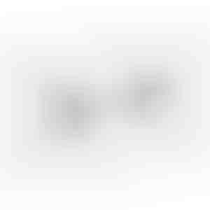 Kõrvarõngad | ROSE_SILVER