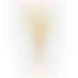 Kõrvarõngad | SOLITA_GOLD