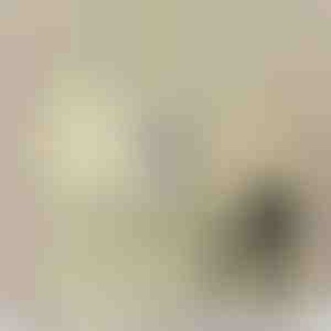 Isalt tütrele | QUINN