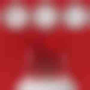 Lubaduse sõrmus ja karu ehtekarp | HEARTISO_ROSBEAR